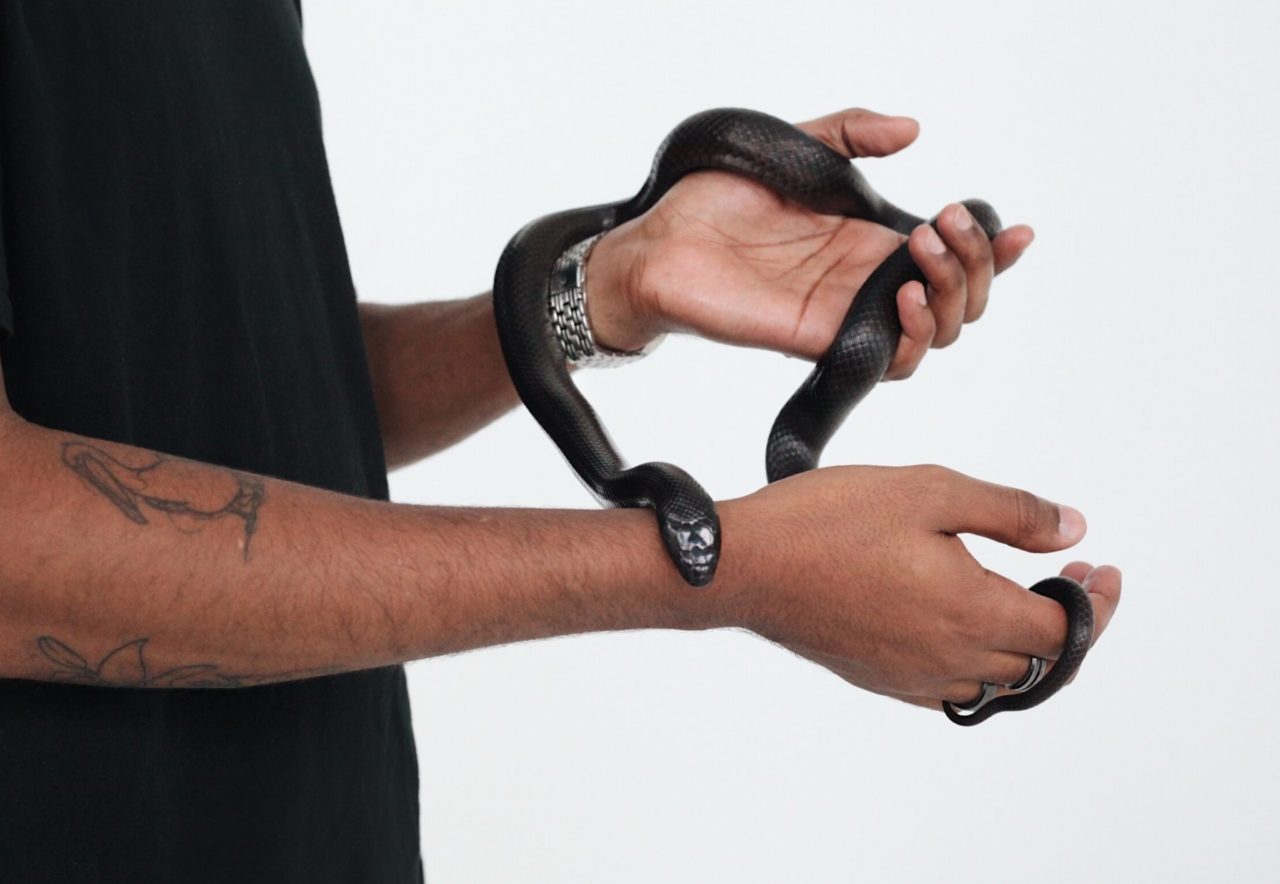 Symbolfoto zum Thema Mut: tätowierter Mann mit Schlange in den Händen