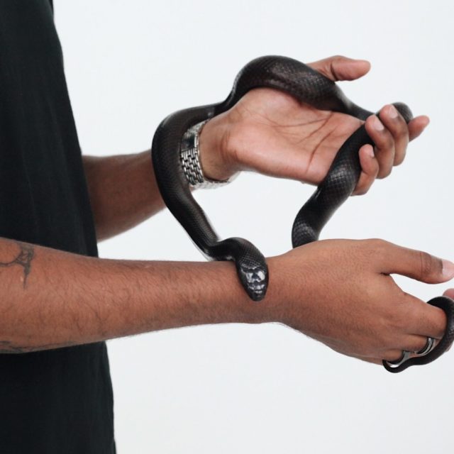 Symbolfoto zum Thema Mut: tätowierter Mann mit Schlange in den Händen